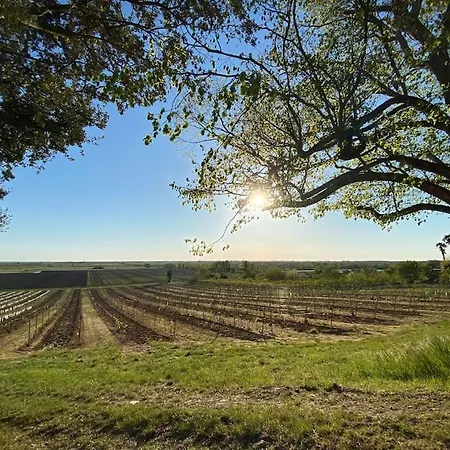 Entre Vignobles Et Estuaire - Gite 12 Pers Saint-Thomas-de-Conac Exterior photo