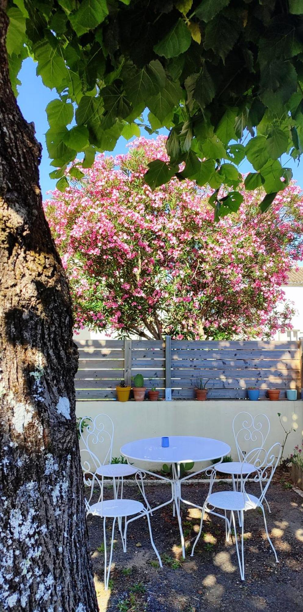 Holiday home Entre Vignobles Et Estuaire - 12 Pers